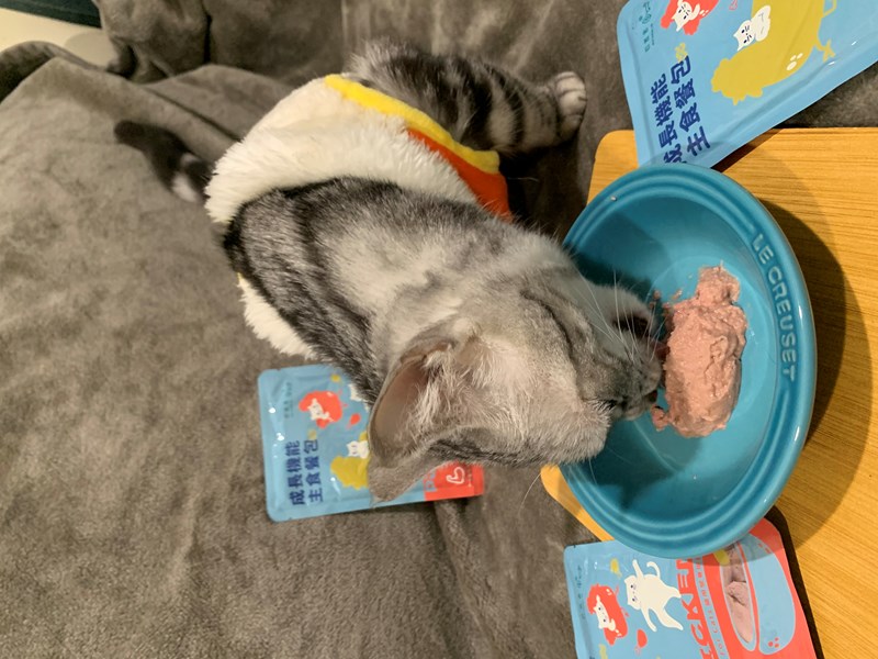 女人知己試用大隊,口碑行銷,部落客行銷,自然食 成長機能主食餐包,自然食,成長機能狗狗主食餐包,成長機能貓咪主食餐包,滿足毛孩最單純的幸福,人食等級食材,開封即食,綿密的肉泥狀質地,好吸收,無膠類,無色素,無防腐劑的添,維持腸道健康,添加DHA/靈芝多醣體,使用高優質蛋白,適口性佳,狗狗口味,犬用營養火雞,犬用嫩雞牛肉,貓咪口味,貓用營養嫩雞,貓用嫩雞鮪魚